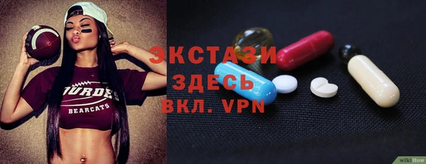 индика Нягань