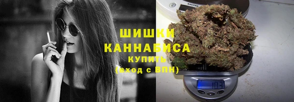 индика Нягань