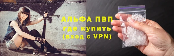 индика Нягань