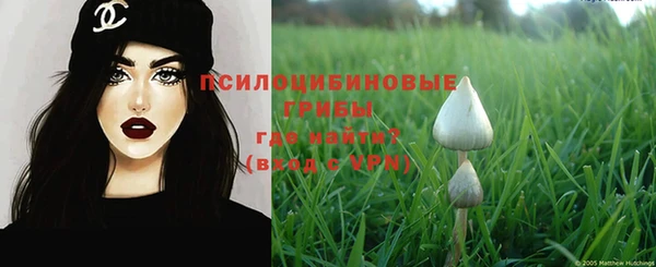 mix Няндома
