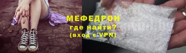 индика Нягань