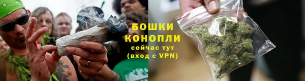 индика Нягань