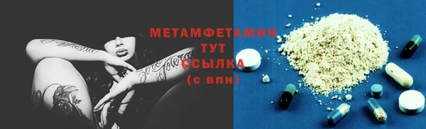 индика Нягань