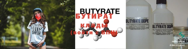 индика Нягань