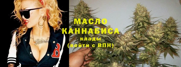 индика Нягань