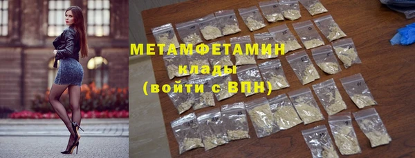 индика Нягань