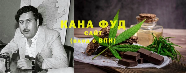 индика Нягань