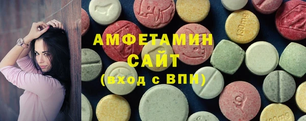 индика Нягань
