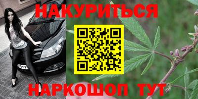 PSILOCYBIN Заводоуковск