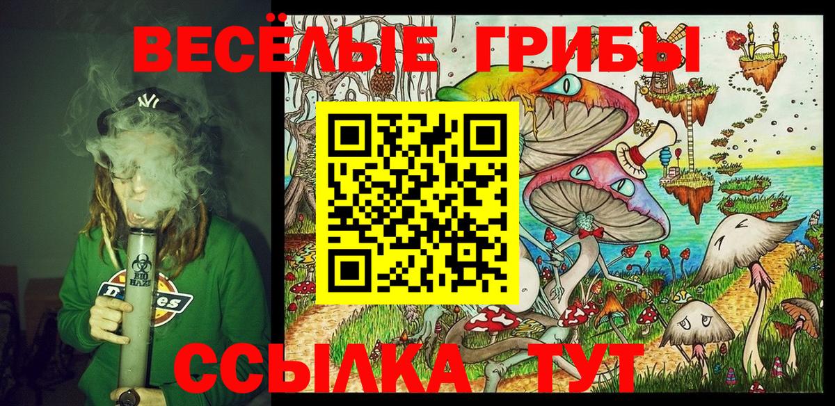 Галлюциногенные грибы Cubensis  Вход с VPN  Симферополь 
